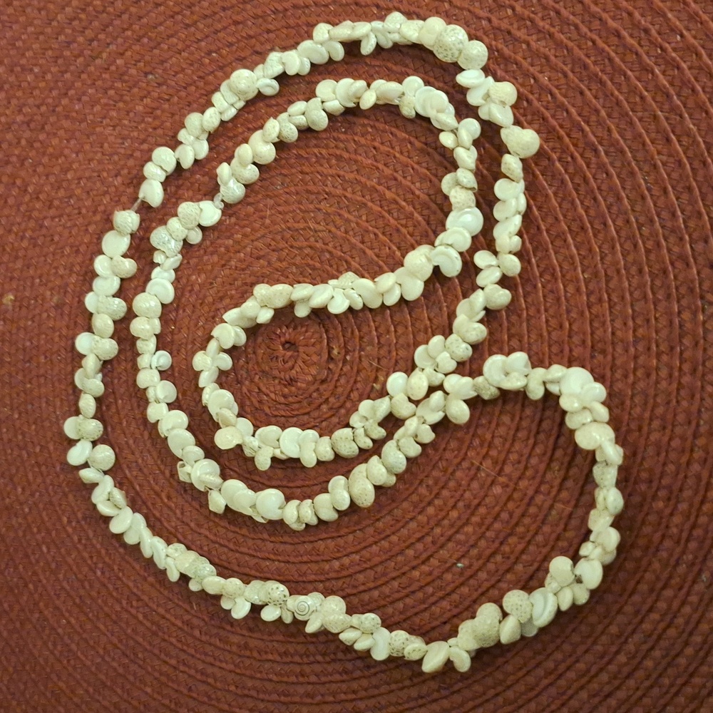 Shell Necklace - Picture 3 of 3